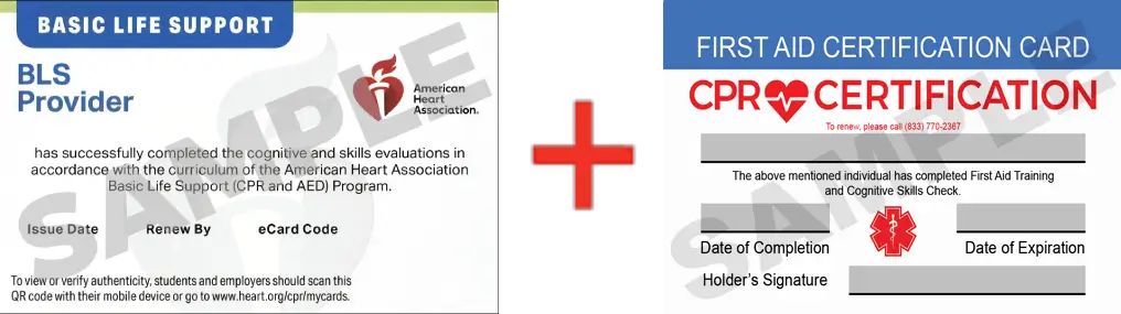 Sample American Heart Association AHA BLS CPR Card Certification and First Aid Certification Card from CPR Certification Nashville